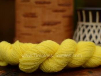 287 Lichen