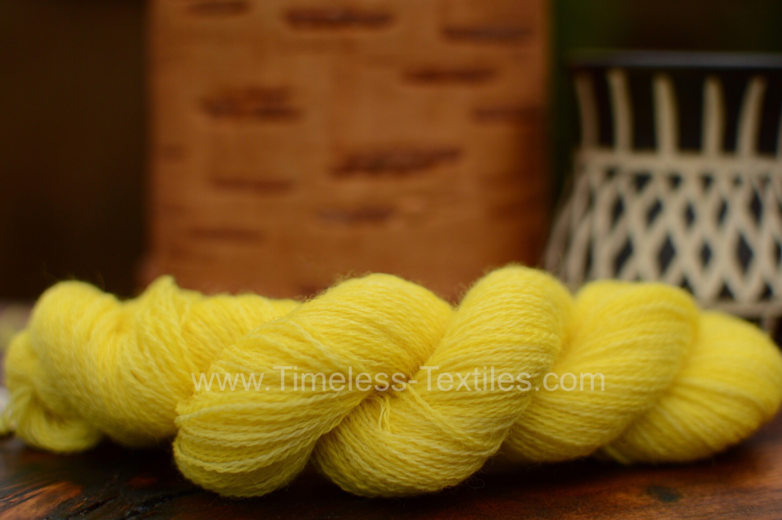 287 Lichen